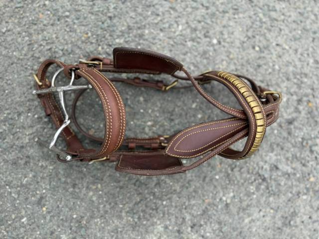 Harnais pour petit poney type Shetland mini-shetl