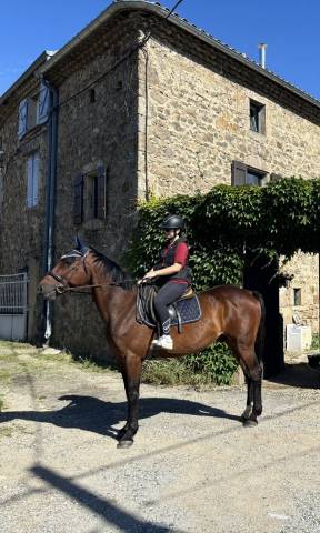 Trotteur avec potentiel en confiage 