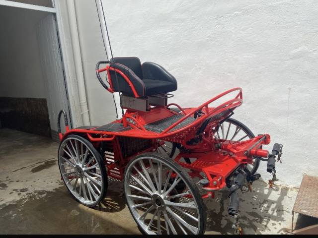 Voiture de marathon pour 2 chevaux très bon état 