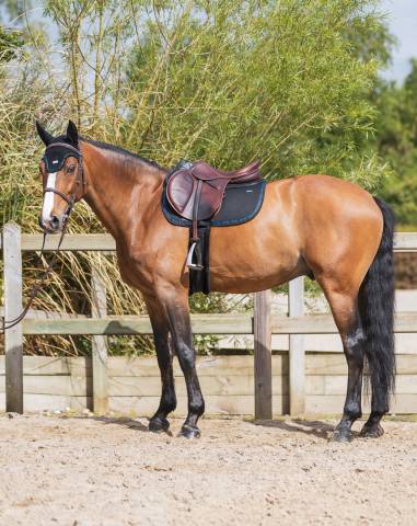Tapis de selle MESH - GEM - Ultra respirant