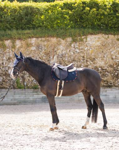 Tapis de selle LOVE Mixte - GEM - Look chic et dynamique
