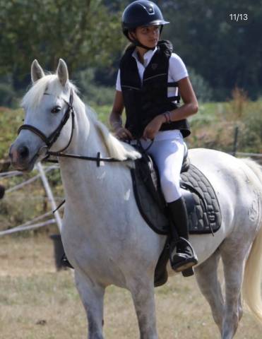 Jument camargue 8 ans