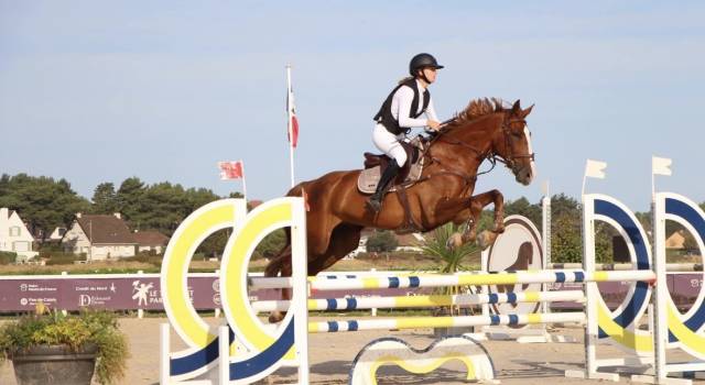 Cheval à vendre - 14 ans, selle français.