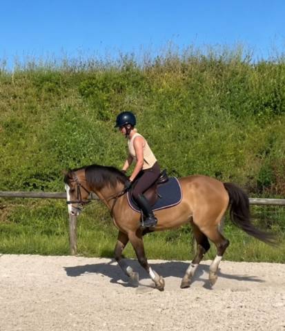 Ponette de sport