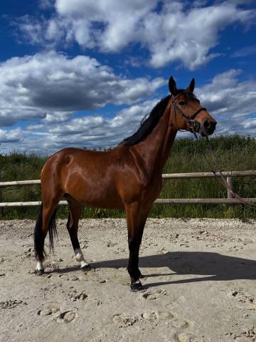 Top 7 ans pour amateur 