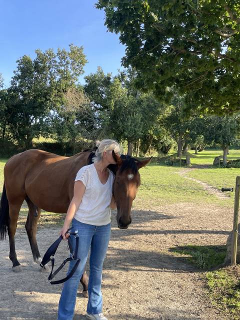 Hongre de 4 ans – gentil, volontaire 