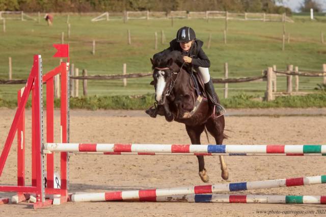 Ponette b