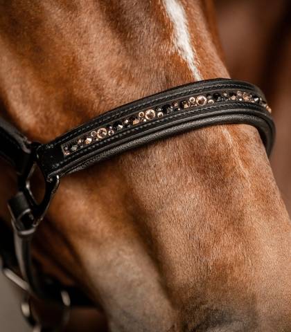 Licol en cuir Crystal X-Line - Waldhausen - Muserolle rembourr&eacute;e