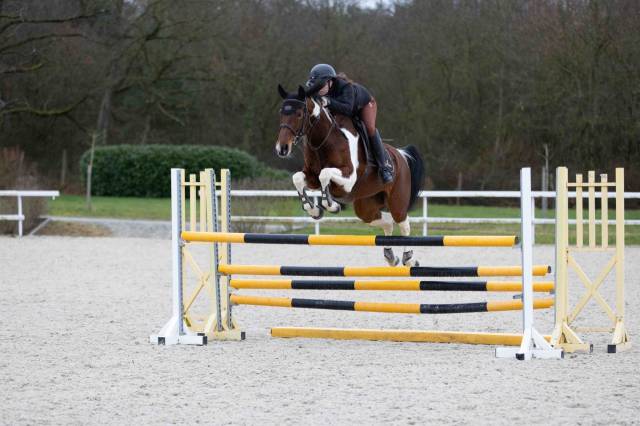  jument cso 10 ans – zangersheide 