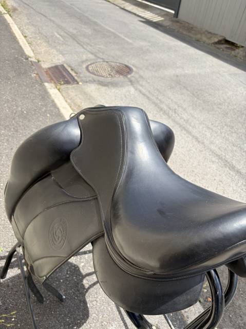 Selle Forestier 17' Aachen 