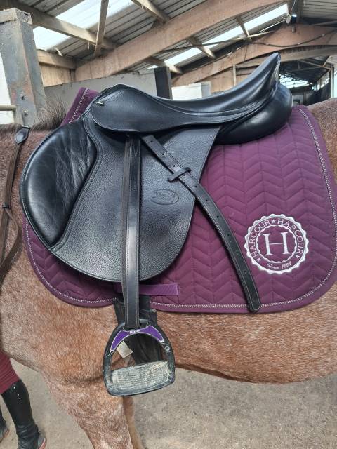 Selle 16,5 mixte 