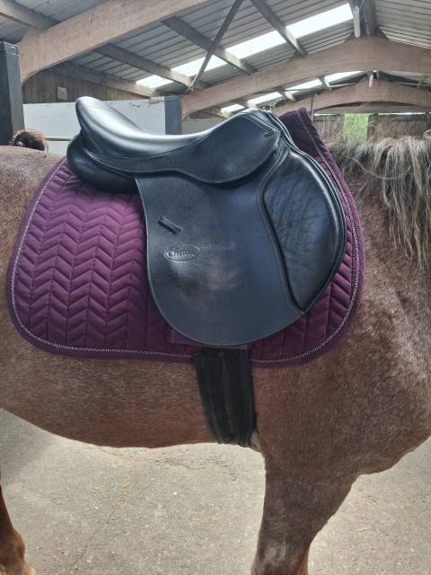 Selle 16,5 mixte 