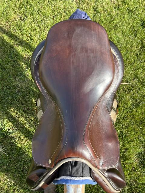 Selle GBS