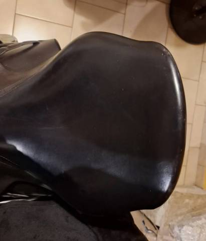 Selle forestier segonzac 