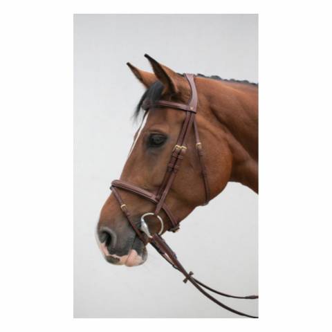 Muserolle Classique HVN Full - Cuir souple