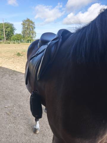 Selle Arion mixte &eacute;quip&eacute; 