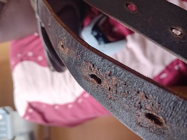 Selle IKONIC Light horse Ball 