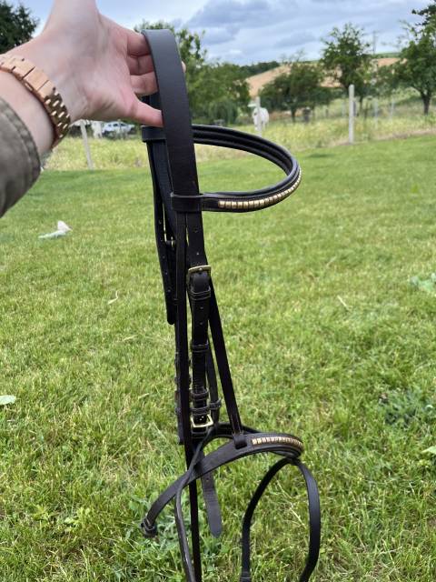 Filet à vendre