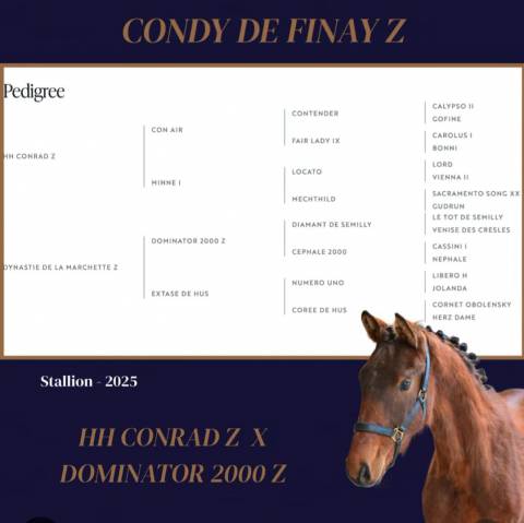 Yearling disponible