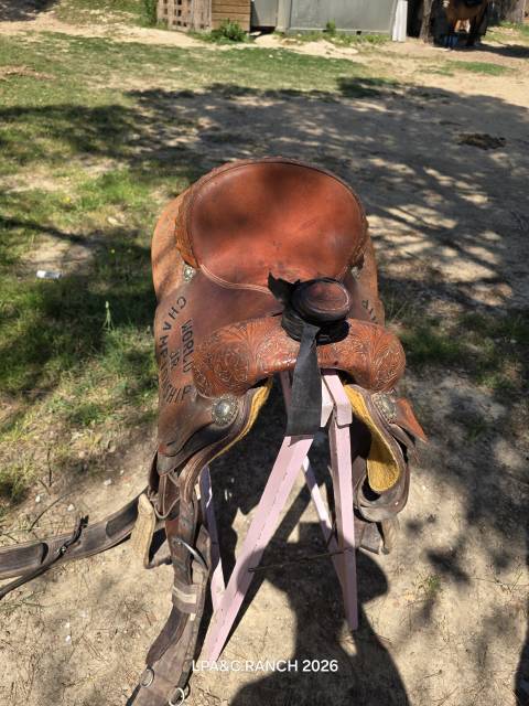 Selle western 