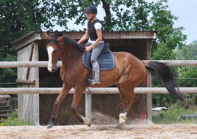 Cheval mag ness
