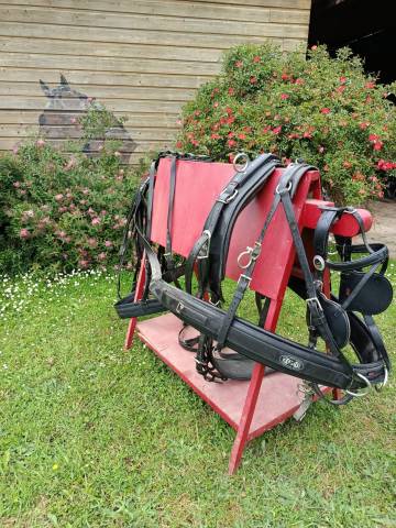 Harnais silco cheval