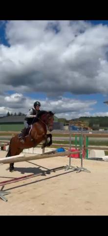 Lucky one de burnand