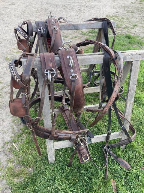 harnais en paire poneys