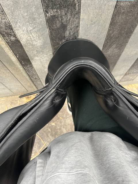 Selle forestier club 