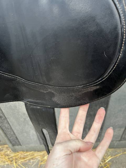 Selle de dressage 