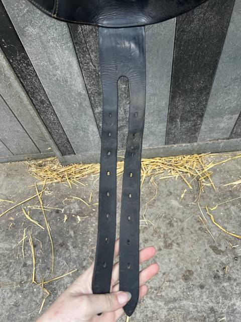 Selle de dressage 