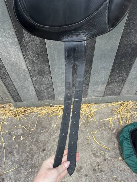 Selle de dressage 