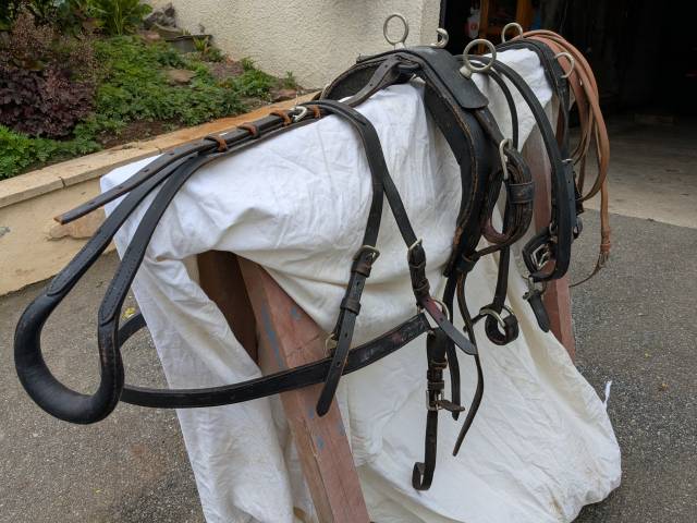 Harnais attelage poney 