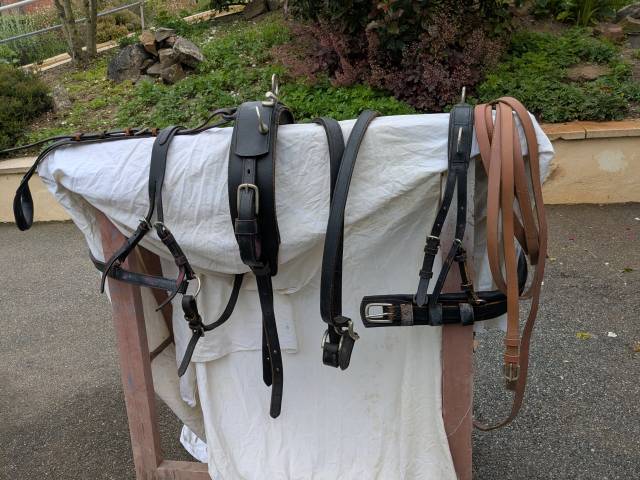 Harnais attelage poney 