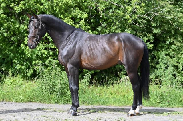 Gk quintus