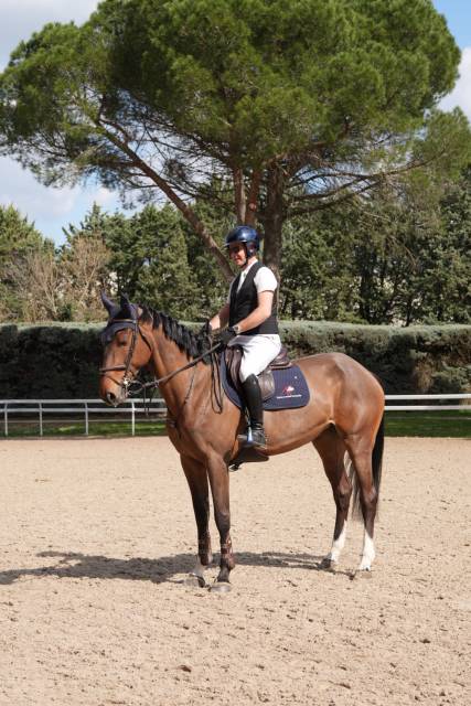 Jument de cso de 5 ans 