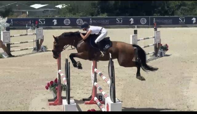 Magnifique 8ans gagnant am élite 