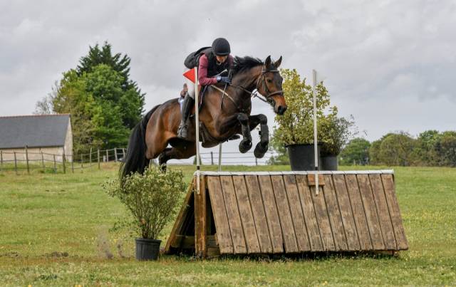 Jument prête sur cci2*