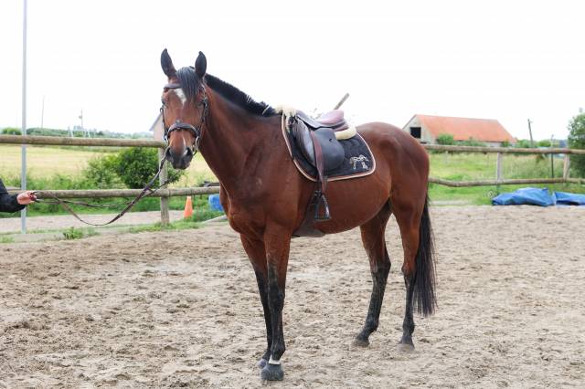 Taz - 5ans - 1m68