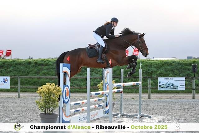 A vendre - ebhar sf de 12 ans