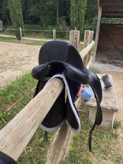 Selle antares de dressage
