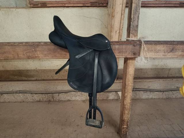Selle wintec lite 17&rsquo;5