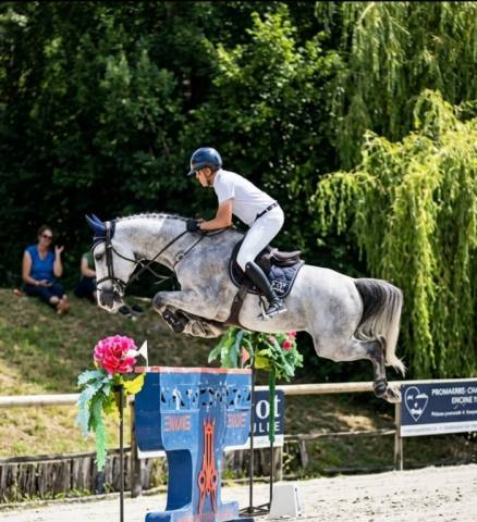 Hongre de 7ans performer gp 1m40