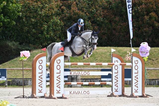 Hongre de 7ans performer gp 1m40