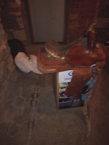 Selle Western