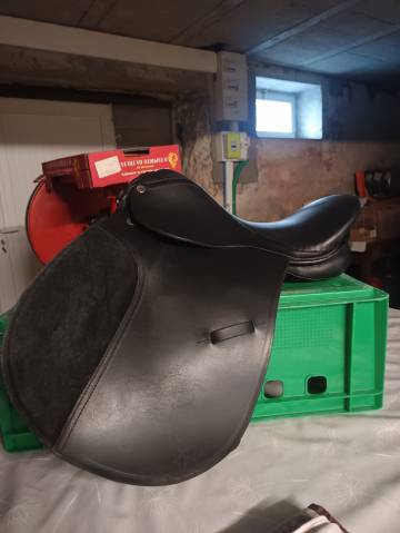 Selle mixte 16"