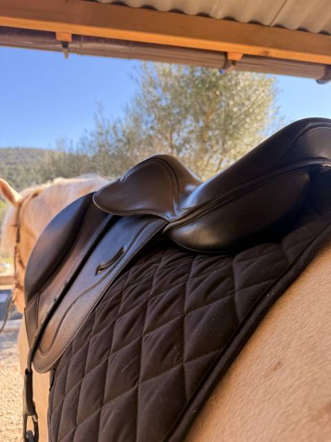 Selle cuir arcade interchangeable