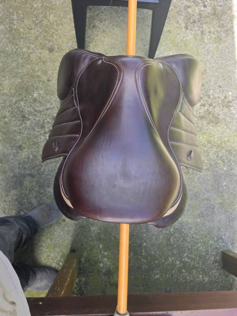 Selle Forestier  obstacle.