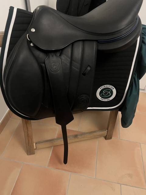Selle S&eacute;oul forestier 
