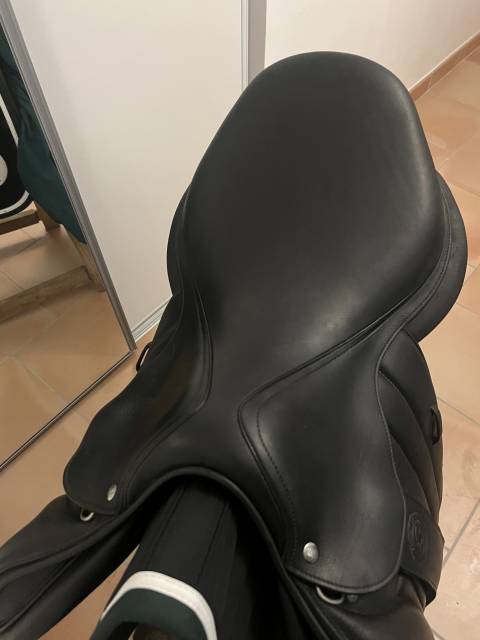 Selle S&eacute;oul forestier 